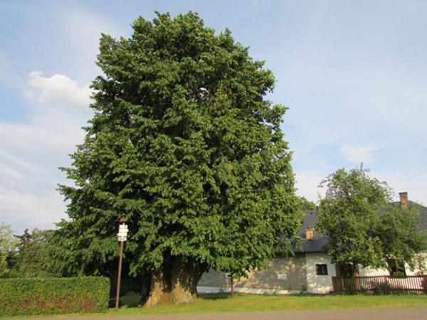 Penzion Pastviny Exterior foto